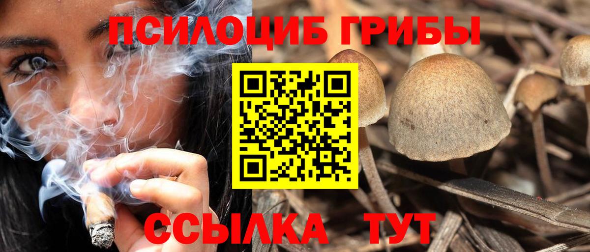 Псилоцибиновые грибы Psilocybe  Галлюциногенные грибы GOLDEN TEACHER  Вход с VPN  Кунгур 