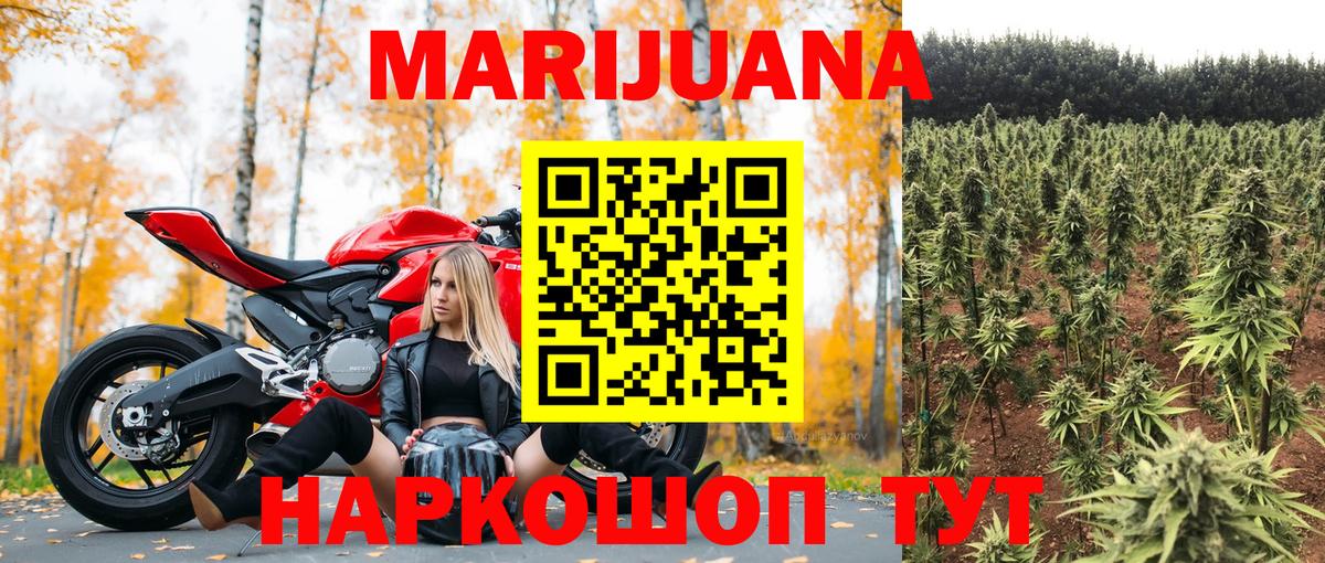 Шишки марихуана OG Kush Кунгур